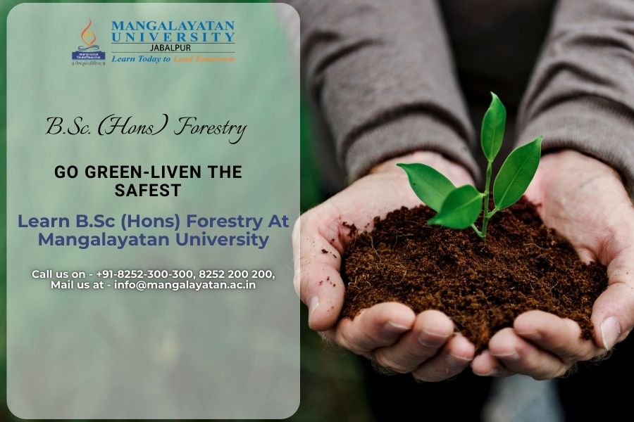 Enroll in the B.Sc (Hons) Forestry program at Mangalayatan University. Embrace a green lifestyle and play a vital role in environmental protection.